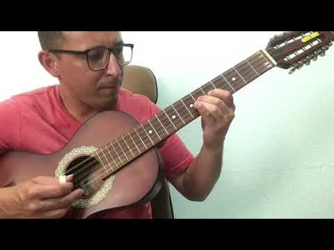 Passagem De Minha Vida - Tião Carreiro e Pardinho