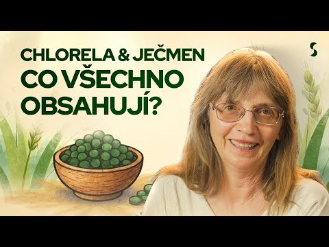 SKRYTÁ SÍLA VÝŽIVY – CO UDĚLAJÍ ZELENÉ POTRAVINY S TVÝM TĚLEM | Zelená Očista E2