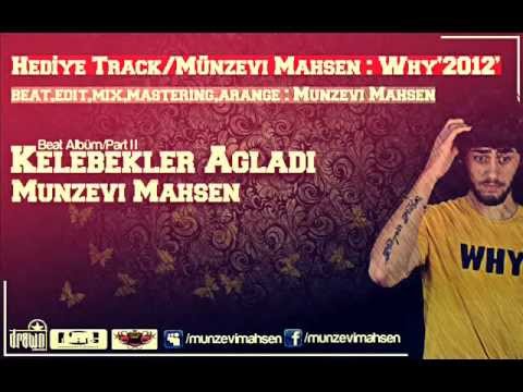 Polyommatus Schuriani Attalaensis (Beat)