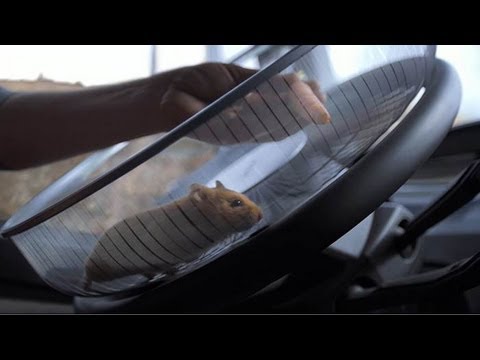 Volvo Trucks - The Hamster Stunt (Live Test)