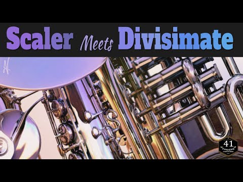 Scaler meets Divisimate
