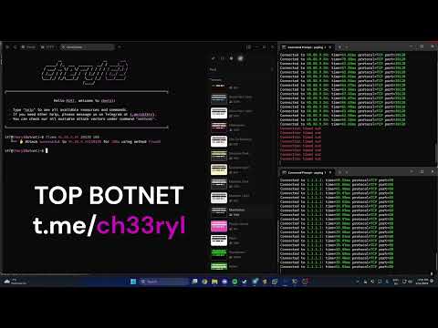 CHERYL BOTNET SHOWCASE VS BIG FIVEM SERVER | BEST C2/BOTNET | BEST BYPASSES & POWER 2025 !