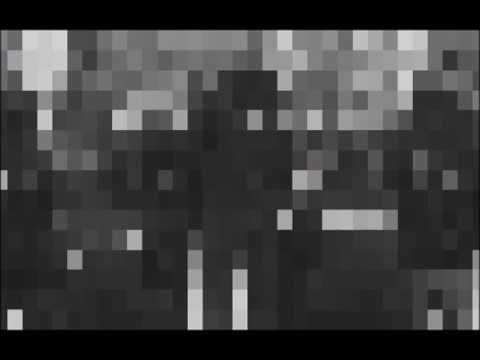 Bedoes x White x Pudelek