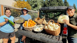 A Major Harvest and HUGE Garden Clean Up!! I Couldn't Have Done it Without Their Help!!