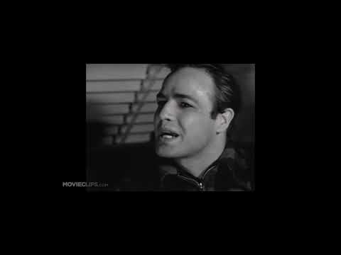 I coulda been a contender