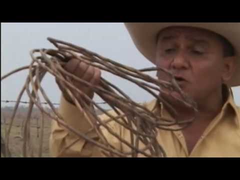 Alfredo Parra -Mi soga Cahilapera