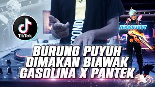 Download lagu DJ BURUNG PUYUH DI MAKAN BIAWAK || GAZOLINA X PANTEK || VIRAL TIKTOK 2022 mp3