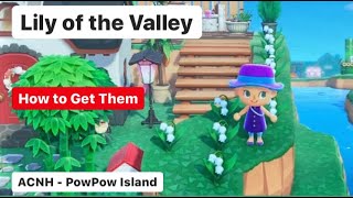 AC New Horizons: LILY OF THE VALLEY FLOWERS - How Do You Get Them?