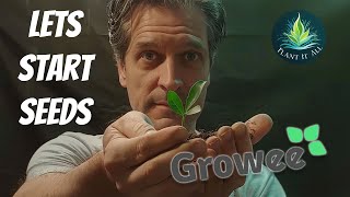 Growee Pro - Starting Seedlings - Everything you want to know - E6