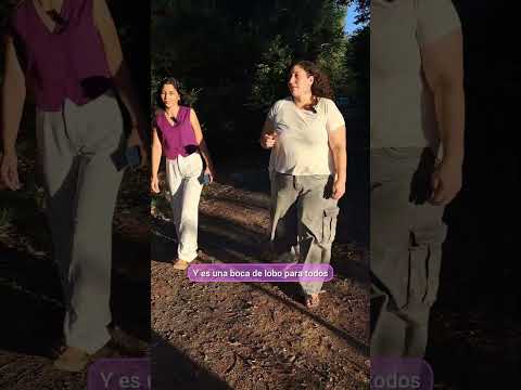 Parada Robles: tasas más altas, calles abandonadas.