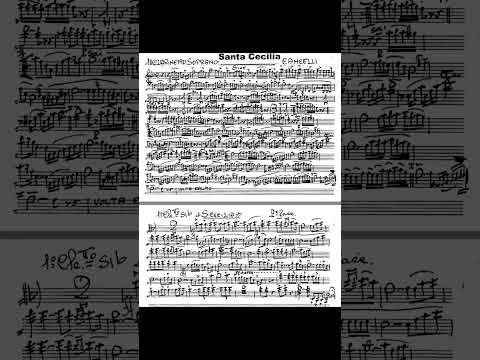 Santa Cecilia - Maurizio Cancelli (Marcia sinfonica)