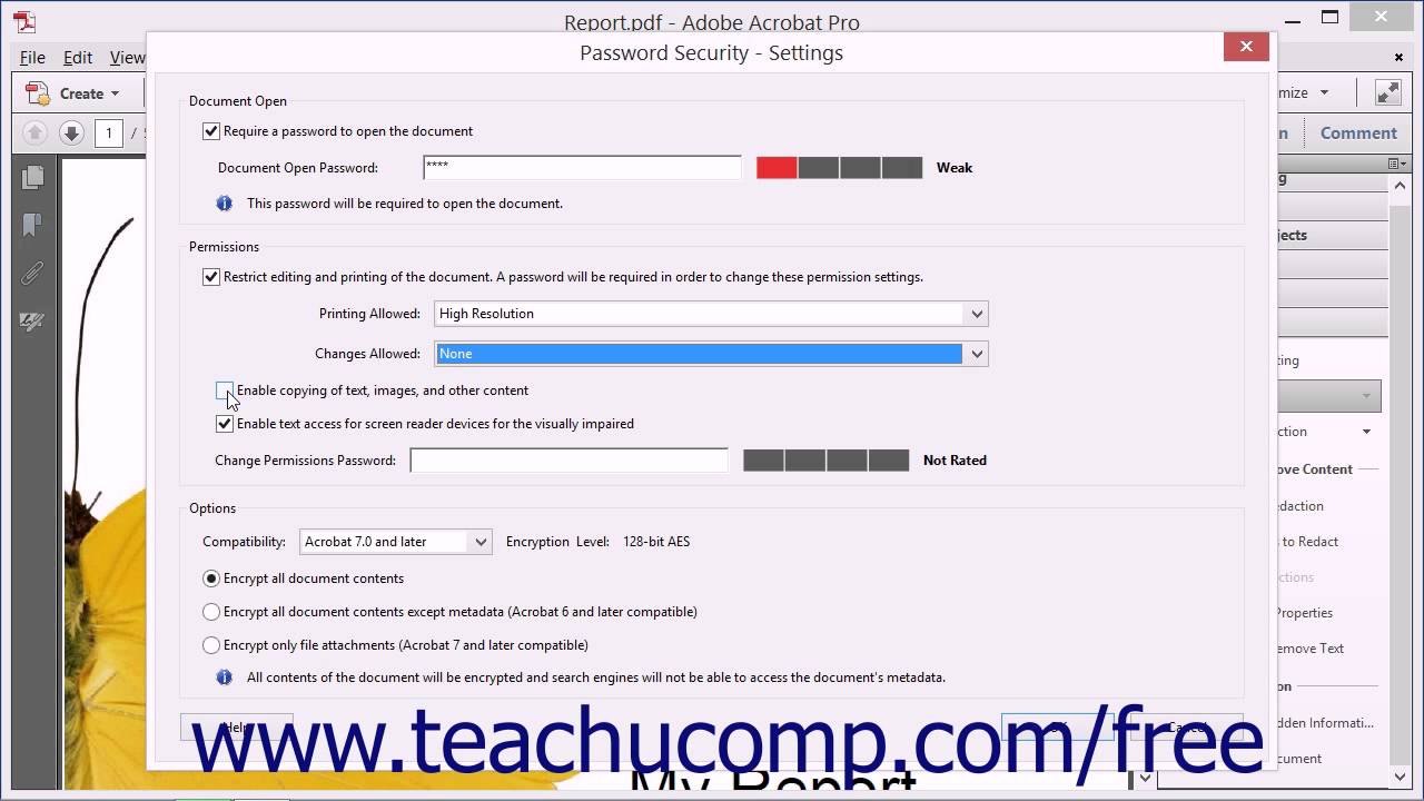 Password-Protecting a PDF - Adobe Acrobat XI Training Tutorial Course