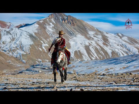 sTa Pho Zing -Zing  thol-thol | Ladakhi Folk Fusion | Dashugs | Ladakhi New Song 2024