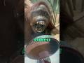 When You Show a Mirror To An Orangutan