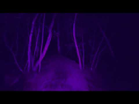 MOROZ x GRUBAS/WZW - W MROKU prod.Nomad