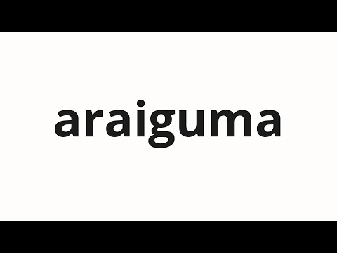 How to pronounce araiguma | アライグマ (Raccoon in Japanese)