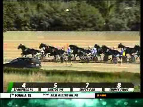 18/10/2013, Foggia , Premio Il Mulino Del Po