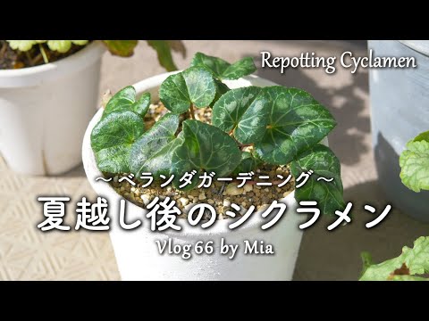 晴れた日が戻ってくるようにバルコニーとテラスをアレンジしましょう  庭園