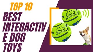 Best Interactive Dog Toys In 2024 _ Dog Toys