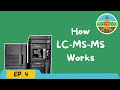 [Grow Your Dendrites!] EP 4. How LC-MS-MS Works