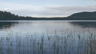 Röster från Ängersjö