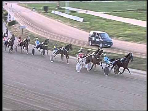 Trotto 28/01/2016 - 4° corsa