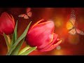 Peaceful Music, Relaxing music, Instrumental Music "Celtic Twilight" by Tim Janis