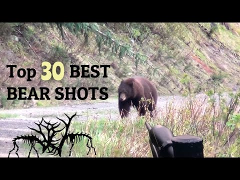 TOP 30 BEST BEAR HUNTING KILL SHOTS