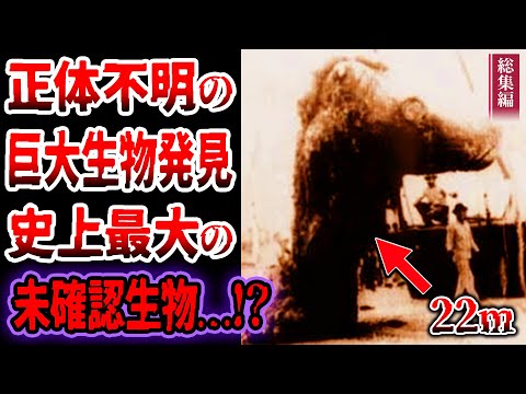 ISS: 突然変異した生物が発見 – 彼らは危険な特徴を持っています