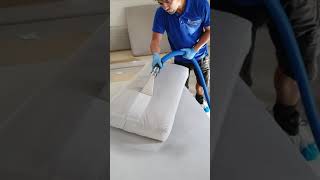 Upholstery TRANSFORMATION 