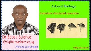 Evolution structured revision questions for A-level studens