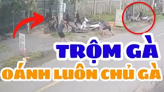 Camera Ghi Lại: TR.ỘM Gà Đánh Luôn Chủ Nhà Khi Bị Phát Hiện!