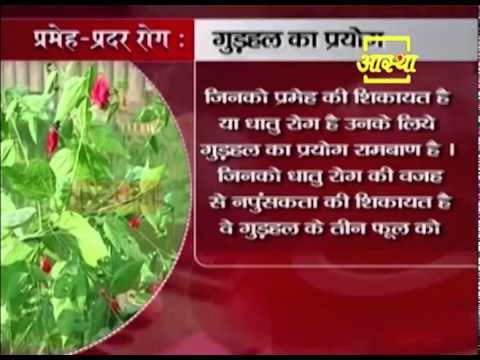 Ayurvedic use of Shoe Flower (Gudhal)