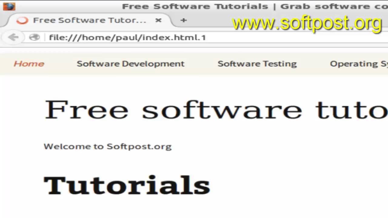 How to download files from internet in Bash
