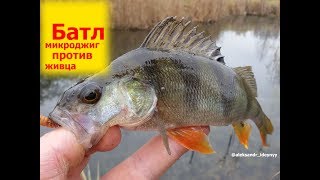 Отчеты с рыбалок киевская область