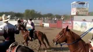 preview picture of video 'Toreando A Caballo En Guadalupe CA'