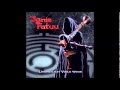 Ignis Fatuu - Der Rabe und der Wolf 