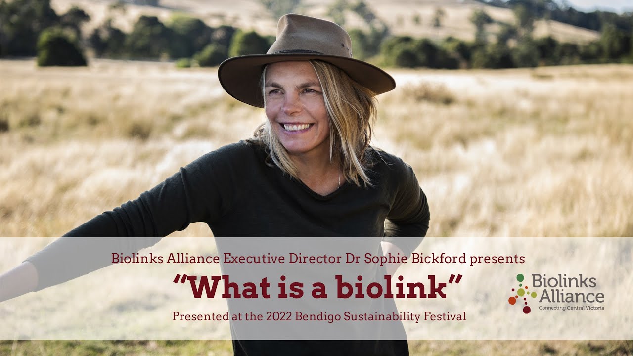 What is a biolink and why should I build one?