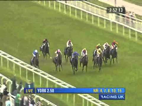 York Ebor Festival 2010 - Sky Bet City of York Stakes