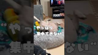 やっぱり月9は集中出来ません🥲