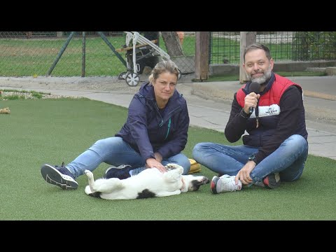 Zuzana Rehák-Štefečeková v bezbúdovcoch