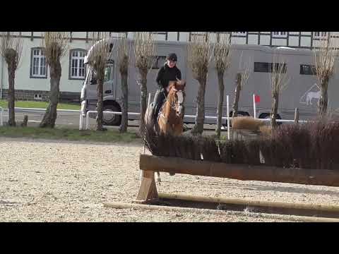 2022 02 13 Lorsandos - Geländetraining in Warendorf