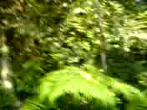 Hantu Bukit Mertajam.3gp