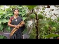 காய்கறிகள் பழங்கள் மற்றும் அனைத்து ச
