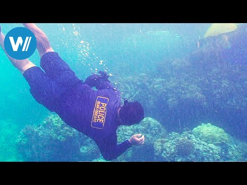 Hawaii, Beach Boys on Patrol (360° - GEO Reportage)