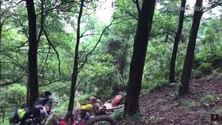 Một số pha mạo hiểm đến thót tim của anh em cào cào Việt Nam