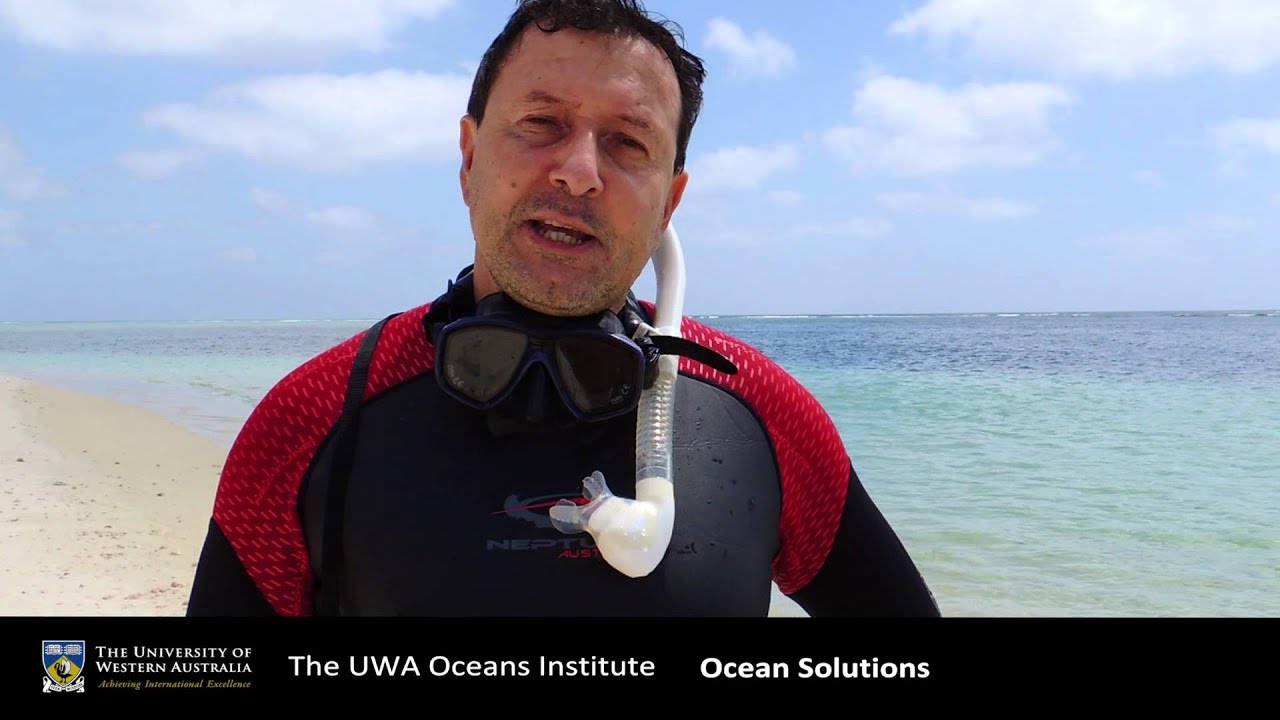 Welcome to Ocean Solutions