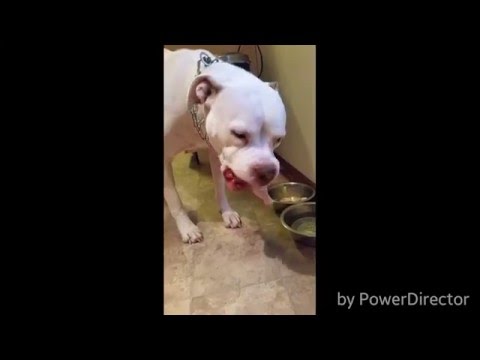 image-{{$article['question']}}