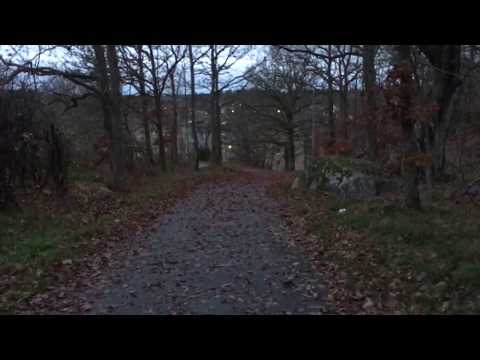 Hylses Blekingeturné - GÅNG- och CYKELVÄGEN Älgbacken-Knektabacken RONNEBY - 181114 (iPhone 6s+)