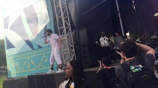 Lil Dicky performing How Can I Become a Bawlaa at the In Bloom Music Festival